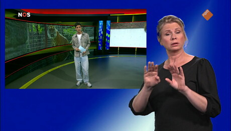 NOS Jeugdjournaal met gebarentaal